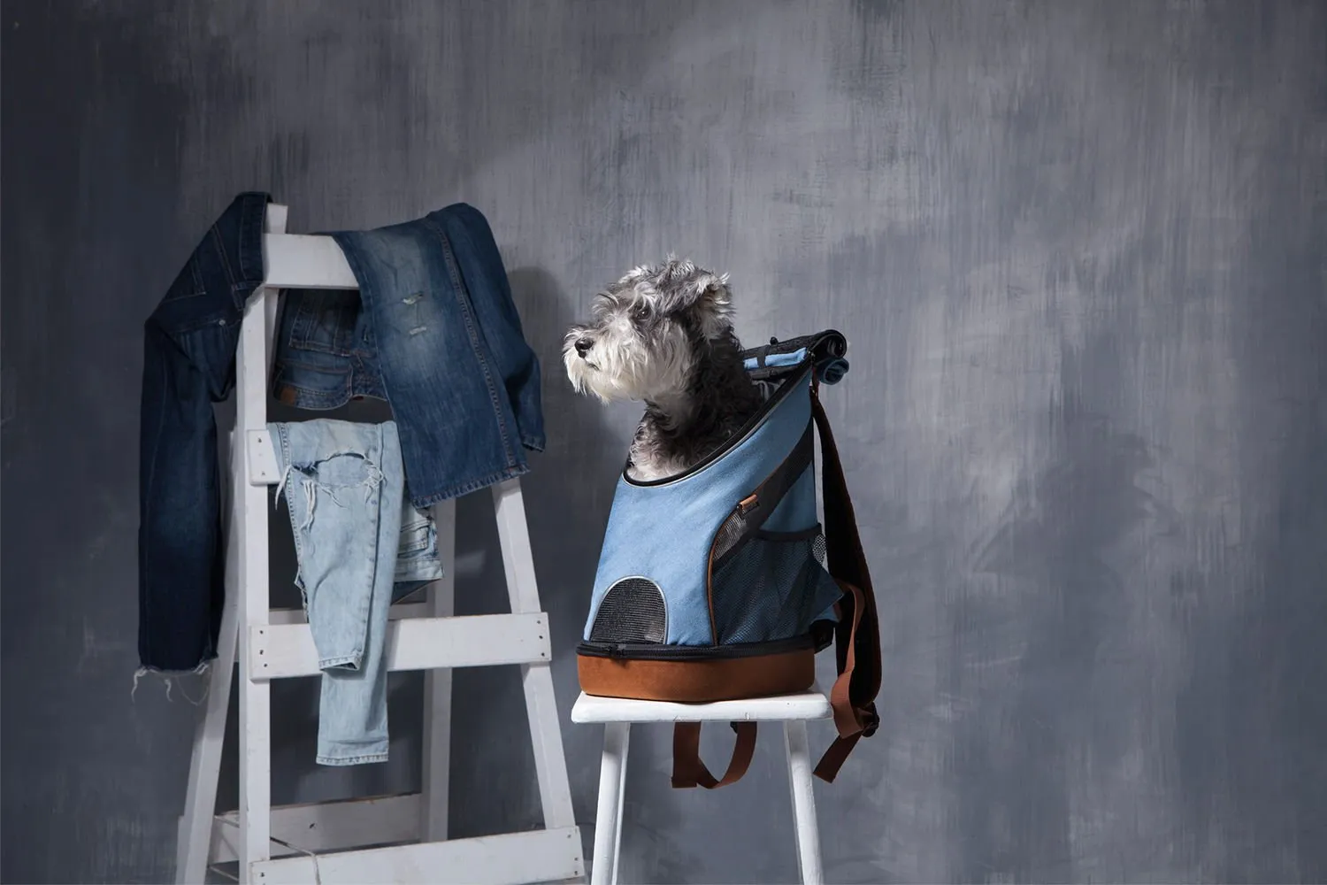 Denim Fun Lightweight Pet Backpack