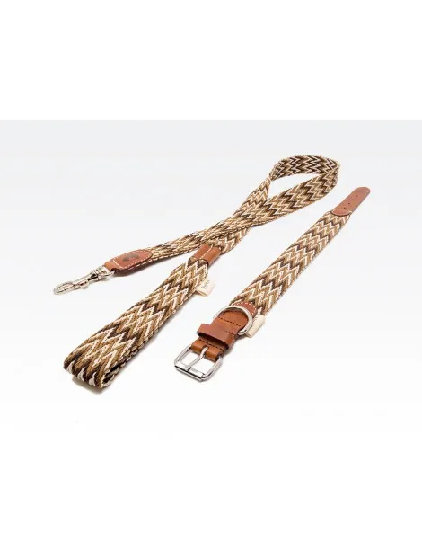 Dog Lead: Peruvian Brown