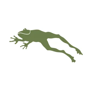 Frog Stencil