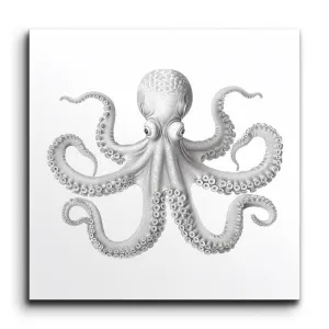 Graceful Gray Octopus: Marine Life Art