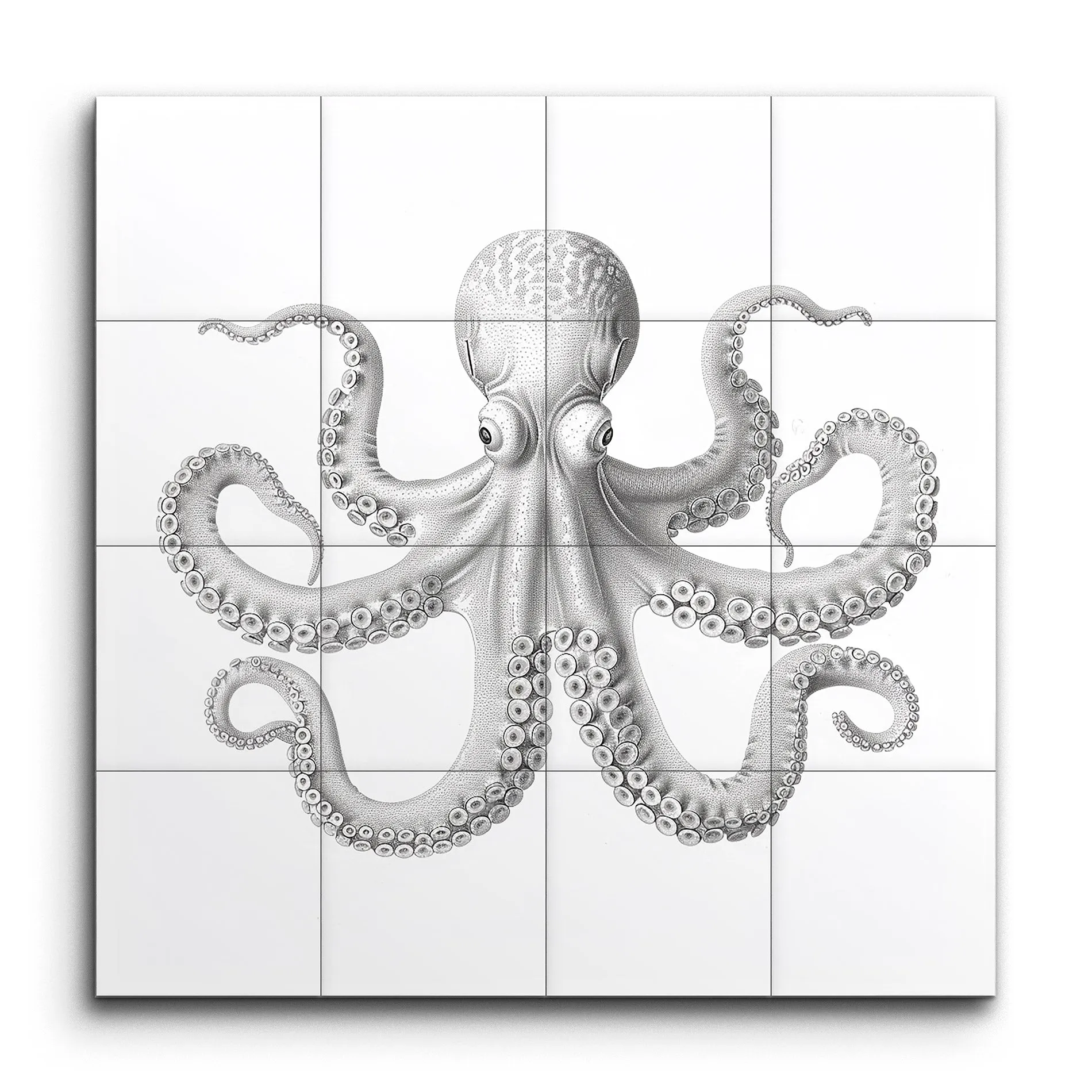 Graceful Gray Octopus: Marine Life Art