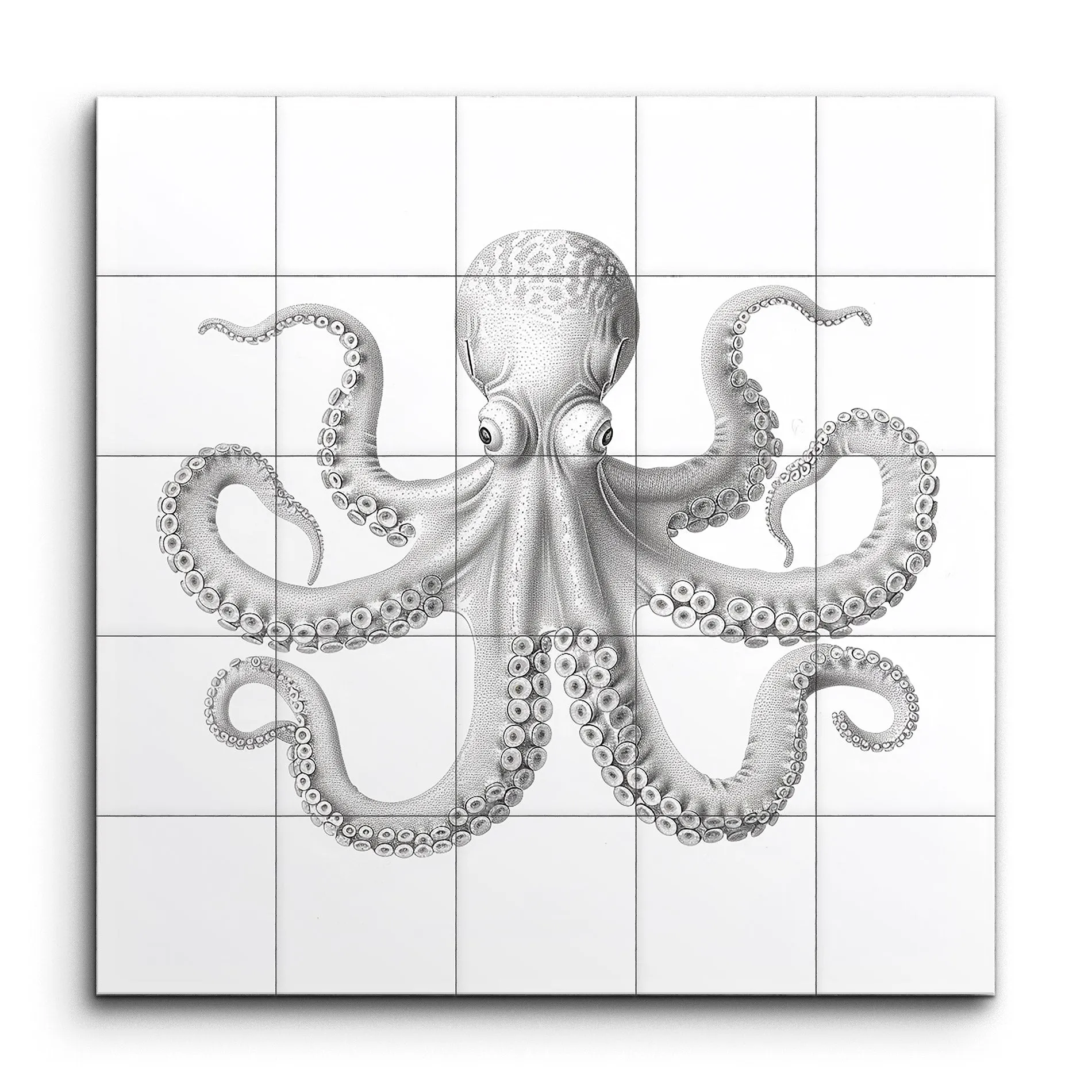 Graceful Gray Octopus: Marine Life Art