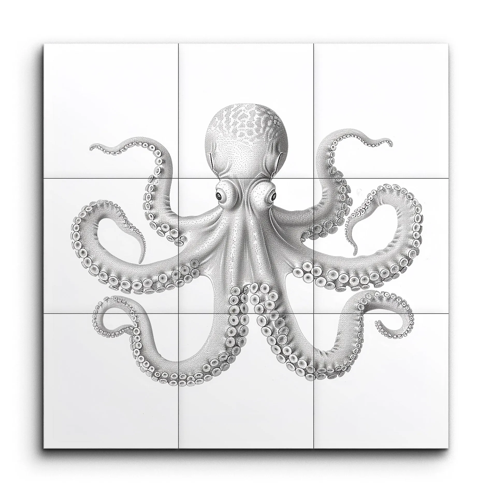 Graceful Gray Octopus: Marine Life Art