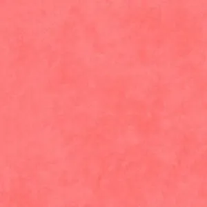 Shadowplay Graceful - Shell Pink