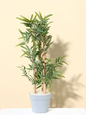 Westside Home Green Bamboo Plant