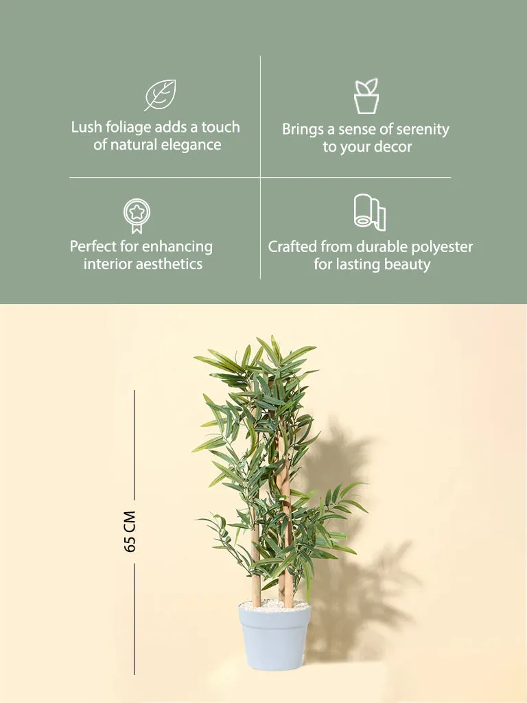 Westside Home Green Bamboo Plant