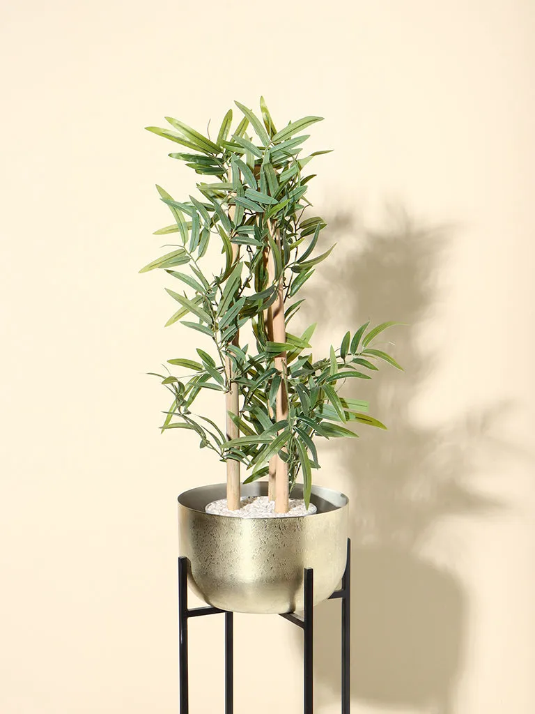 Westside Home Green Bamboo Plant
